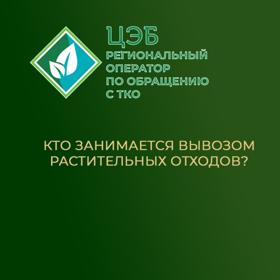КТО ЗАНИМАЕТСЯ ВЫВОЗОМ РАСТИТЕЛЬНЫХ ОТХОДОВ?. КТО ЗАНИМАЕТСЯ ВЫВОЗОМ РАСТИТЕЛЬНЫХ ОТХОДОВ?.