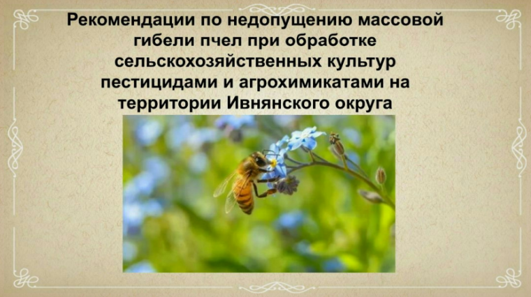 Внимание пчеловодам!. Внимание пчеловодам!.